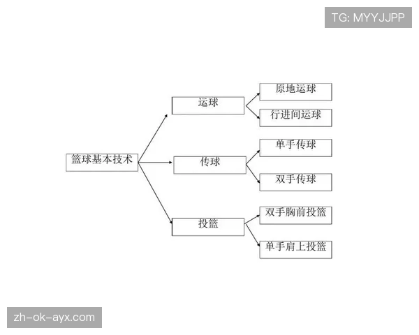 回场违例是什么？新手必须掌握的篮球基本规则解析