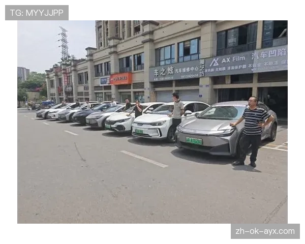哈兰德名下跑车加起来能绕地球一圈吧，这日常可以买几套房了？