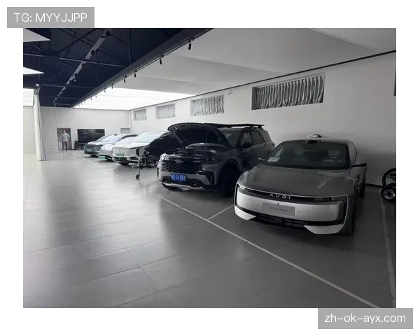 张琳芃家里那车库，比我小区停车场还高级，真是本人没想到啊