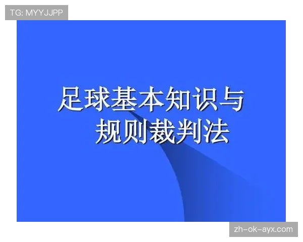 足球规则中不当行为的判罚标准与裁判执行细则解析
